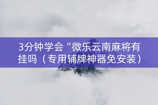 3分钟学会“微乐云南麻将有挂吗（专用辅牌神器免安装）