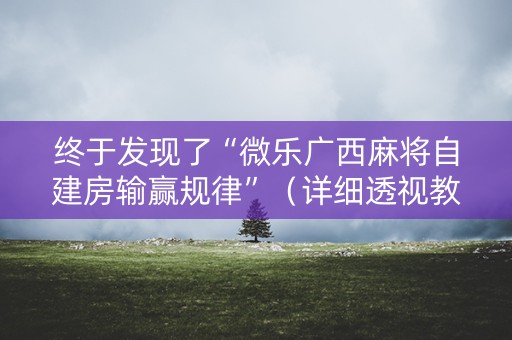 终于发现了“微乐广西麻将自建房输赢规律”（详细透视教程）-哔哩哔哩