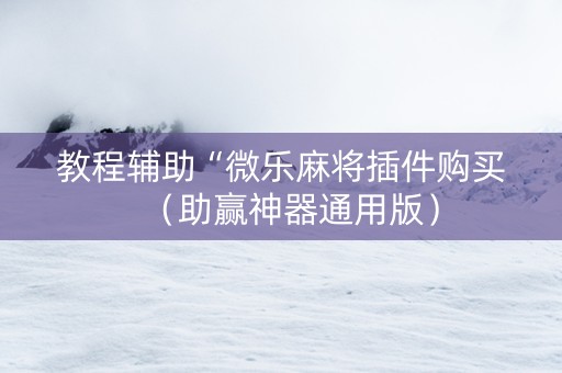 教程辅助“微乐麻将插件购买（助赢神器通用版）