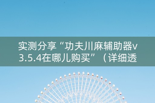 实测分享“功夫川麻辅助器v3.5.4在哪儿购买”（详细透视教程）-哔哩哔哩