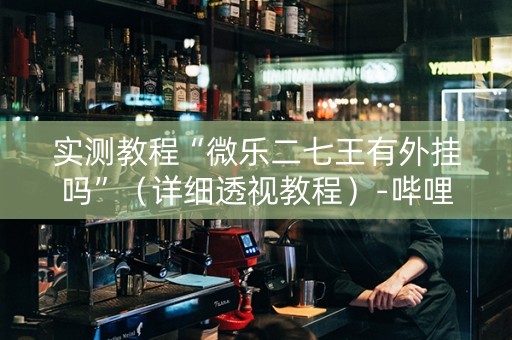 实测教程“微乐二七王有外挂吗”（详细透视教程）-哔哩哔哩