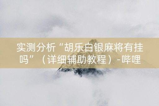 实测分析“胡乐白银麻将有挂吗”（详细辅助教程）-哔哩哔哩