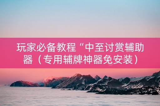 玩家必备教程“中至讨赏辅助器（专用辅牌神器免安装）