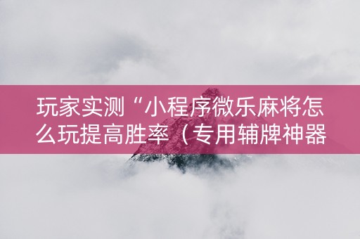 玩家实测“小程序微乐麻将怎么玩提高胜率（专用辅牌神器免安装）