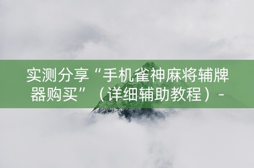实测分享“手机雀神麻将辅牌器购买”（详细辅助教程）-哔哩哔哩