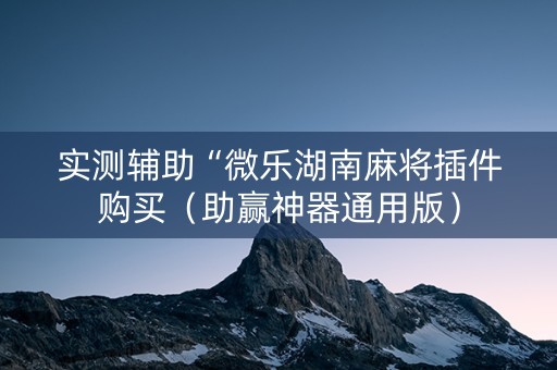 实测辅助“微乐湖南麻将插件购买（助赢神器通用版）