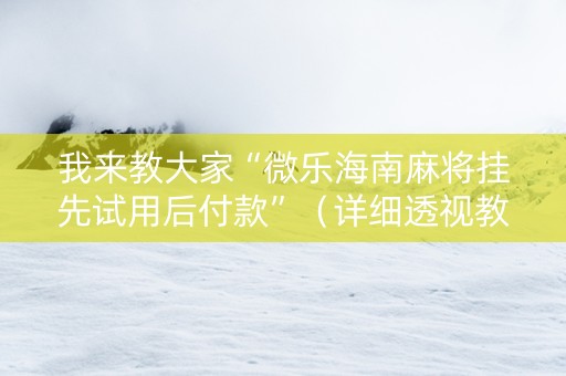 我来教大家“微乐海南麻将挂先试用后付款”（详细透视教程）-哔哩哔哩