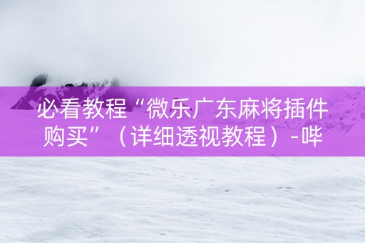 必看教程“微乐广东麻将插件购买”（详细透视教程）-哔哩哔哩