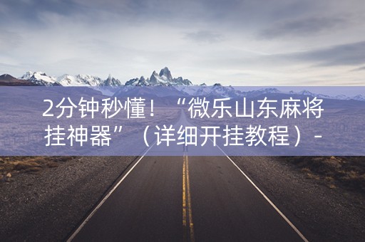 2分钟秒懂！“微乐山东麻将挂神器”（详细开挂教程）-哔哩哔哩