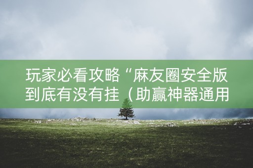 玩家必看攻略“麻友圈安全版到底有没有挂（助赢神器通用版）