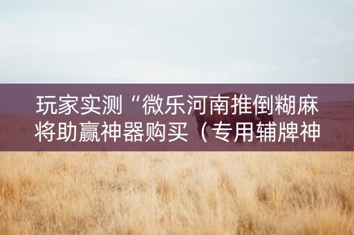 玩家实测“微乐河南推倒糊麻将助赢神器购买（专用辅牌神器免安装）