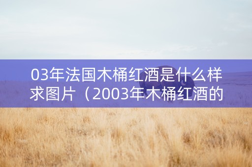 03年法国木桶红酒是什么样求图片（2003年木桶红酒的价格表）
