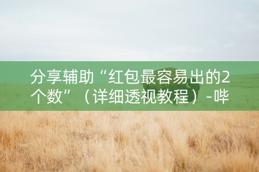 分享辅助“红包最容易出的2个数”（详细透视教程）-哔哩哔哩