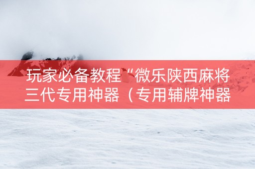 玩家必备教程“微乐陕西麻将三代专用神器（专用辅牌神器免安装）