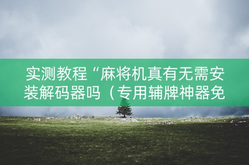 实测教程“麻将机真有无需安装解码器吗（专用辅牌神器免安装）