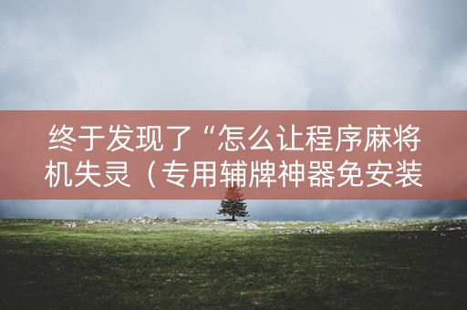 终于发现了“怎么让程序麻将机失灵（专用辅牌神器免安装）