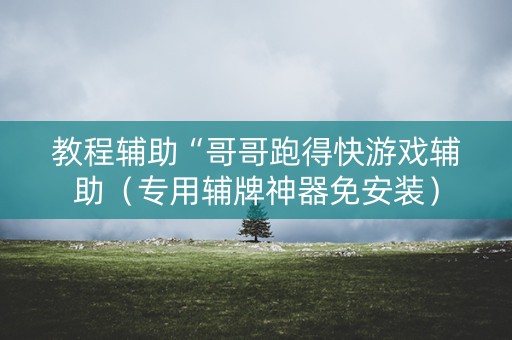 教程辅助“哥哥跑得快游戏辅助（专用辅牌神器免安装）