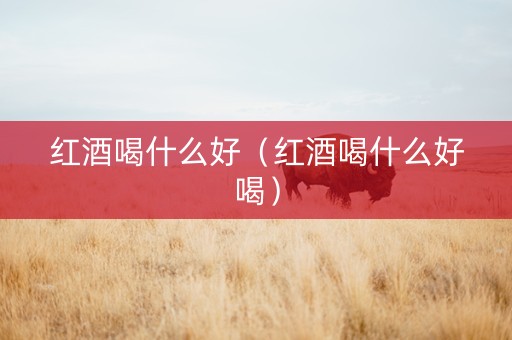红酒喝什么好（红酒喝什么好喝）