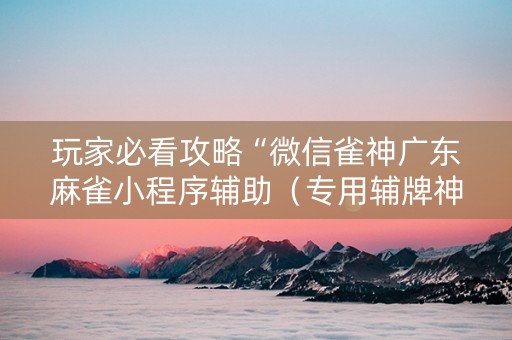 玩家必看攻略“微信雀神广东麻雀小程序辅助（专用辅牌神器免安装）
