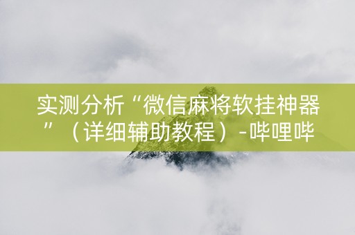 实测分析“微信麻将软挂神器”（详细辅助教程）-哔哩哔哩