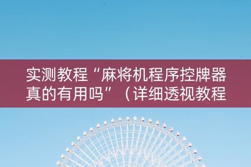 实测教程“麻将机程序控牌器真的有用吗”（详细透视教程）-哔哩哔哩
