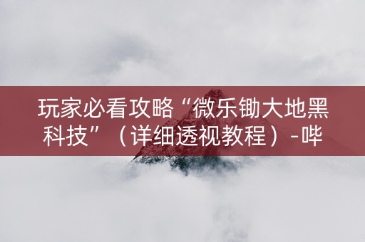 玩家必看攻略“微乐锄大地黑科技”（详细透视教程）-哔哩哔哩