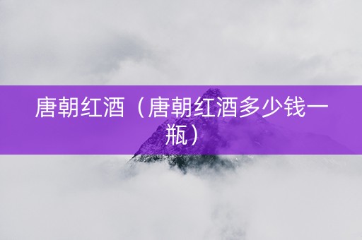 唐朝红酒（唐朝红酒多少钱一瓶）