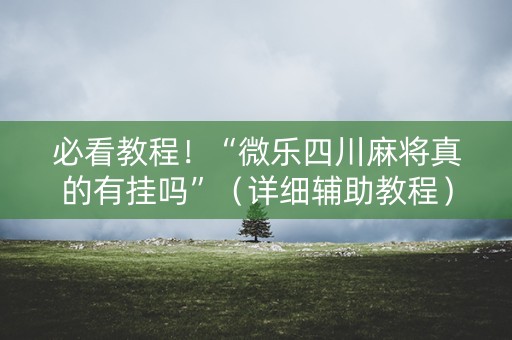 必看教程！“微乐四川麻将真的有挂吗”（详细辅助教程）-哔哩哔哩