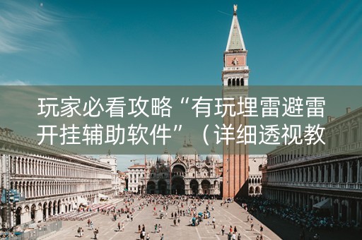 玩家必看攻略“有玩埋雷避雷开挂辅助软件”（详细透视教程）-哔哩哔哩