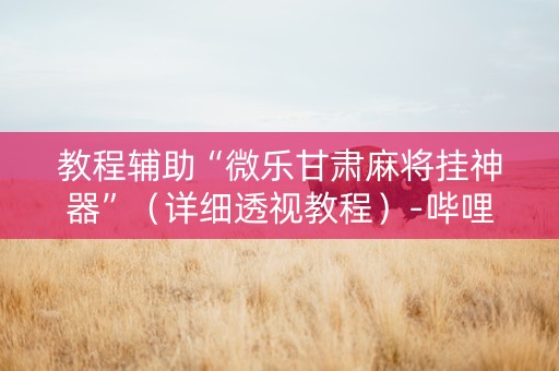 教程辅助“微乐甘肃麻将挂神器”（详细透视教程）-哔哩哔哩