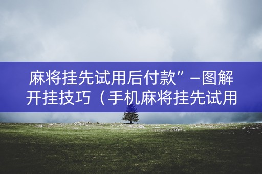 麻将挂先试用后付款”—图解开挂技巧（手机麻将挂先试用后付款 小程序）