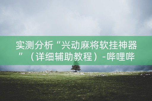 实测分析“兴动麻将软挂神器”（详细辅助教程）-哔哩哔哩