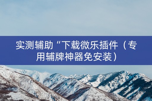 实测辅助“下载微乐插件（专用辅牌神器免安装）