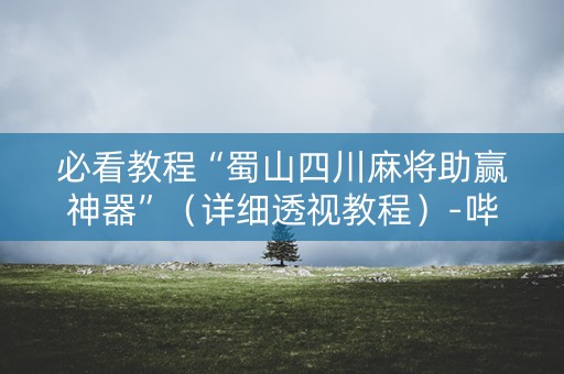 必看教程“蜀山四川麻将助赢神器”（详细透视教程）-哔哩哔哩