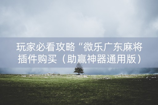玩家必看攻略“微乐广东麻将插件购买（助赢神器通用版）