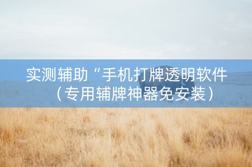 实测辅助“手机打牌透明软件（专用辅牌神器免安装）
