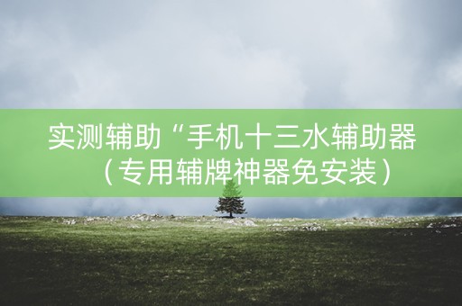 实测辅助“手机十三水辅助器（专用辅牌神器免安装）