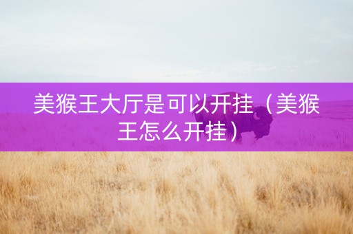 美猴王大厅是可以开挂（美猴王怎么开挂）