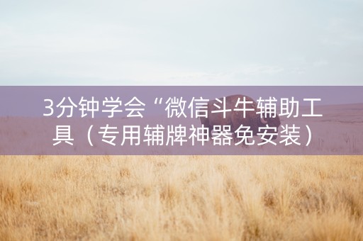 3分钟学会“微信斗牛辅助工具（专用辅牌神器免安装）
