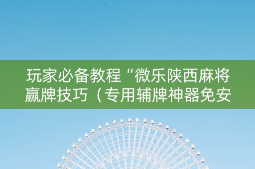玩家必备教程“微乐陕西麻将赢牌技巧（专用辅牌神器免安装）