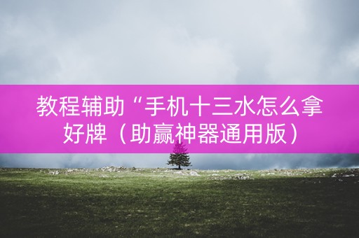 教程辅助“手机十三水怎么拿好牌（助赢神器通用版）