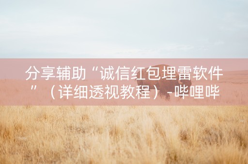 分享辅助“诚信红包埋雷软件”（详细透视教程）-哔哩哔哩