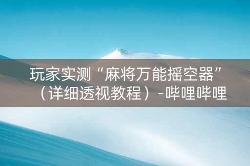 玩家实测“麻将万能摇空器”（详细透视教程）-哔哩哔哩
