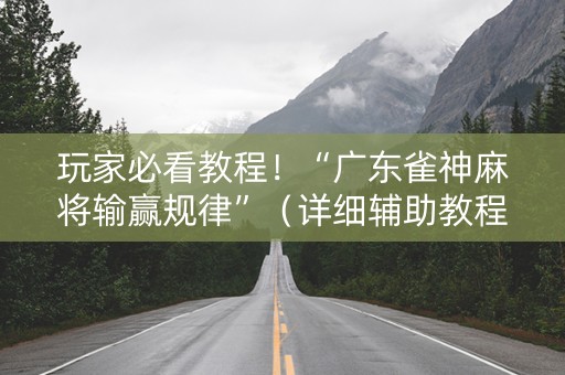 玩家必看教程！“广东雀神麻将输赢规律”（详细辅助教程）-哔哩哔哩