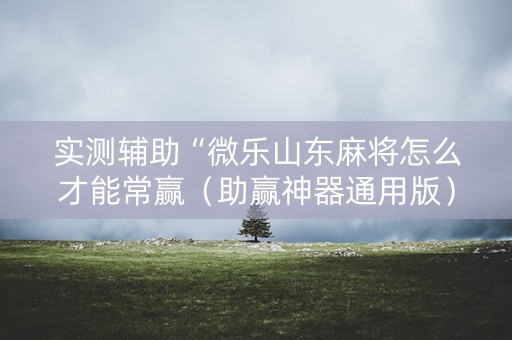 实测辅助“微乐山东麻将怎么才能常赢（助赢神器通用版）