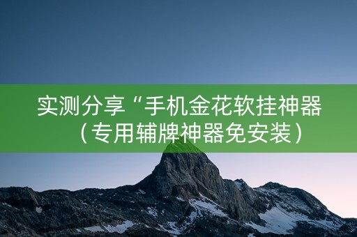 实测分享“手机金花软挂神器（专用辅牌神器免安装）