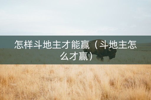 怎样斗地主才能赢（斗地主怎么才赢）