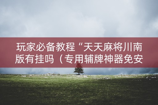 玩家必备教程“天天麻将川南版有挂吗（专用辅牌神器免安装）