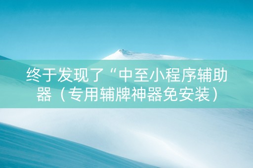 终于发现了“中至小程序辅助器（专用辅牌神器免安装）