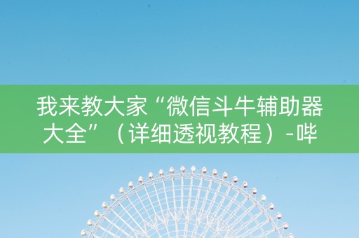 我来教大家“微信斗牛辅助器大全”（详细透视教程）-哔哩哔哩